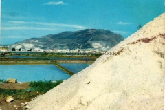 MONTE-ERICE-E-LE-SALINE-GIARRIZZO