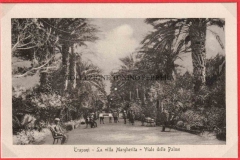 LA-VILLA-MARGHERITA-VIALE-DELLE-PALME-GIANQUINTO