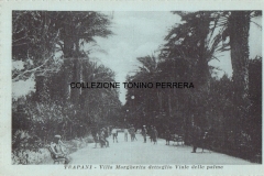 VILLA-MARGHERITA-DETTAGLIO-VIALE-DELLE-PALME-CALCAGNO-1