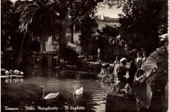 VILLA-MARGHERITA-IL-LAGHETTO-G.GIARRIZZO