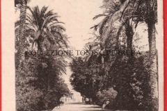 VILLA-MARGHERITA-VIALE-DELLE-PALME-BANCI