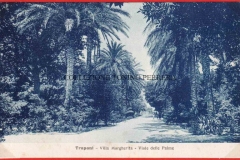 VILLA-MARGHERITA-VIALE-DELLE-PALME-MANNONE-1