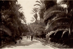 VILLA-MARGHERITA-VIALE-DELLE-PALME-MANNONE-3