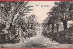 VILLA-MARGHERITA-VIALE-DELLE-PALME-MANNONE-4