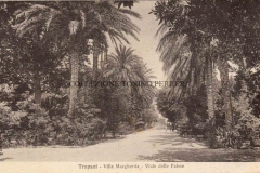 VILLA-MARGHERITA-VIALE-DELLE-PALME-S.E.-1