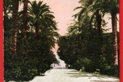 VILLA-MARGHERITA-VIALE-DELLE-PALME-TARTARO-G.-2